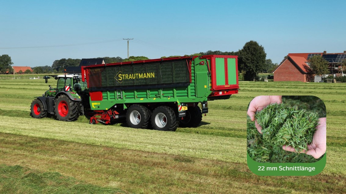 Strautmann Magnon 11