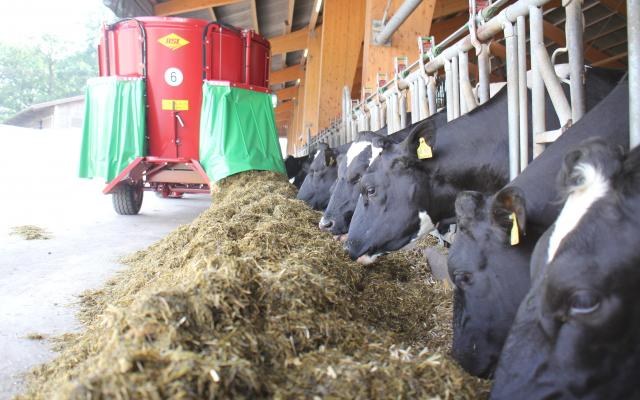 Strautmann Verti-Mix