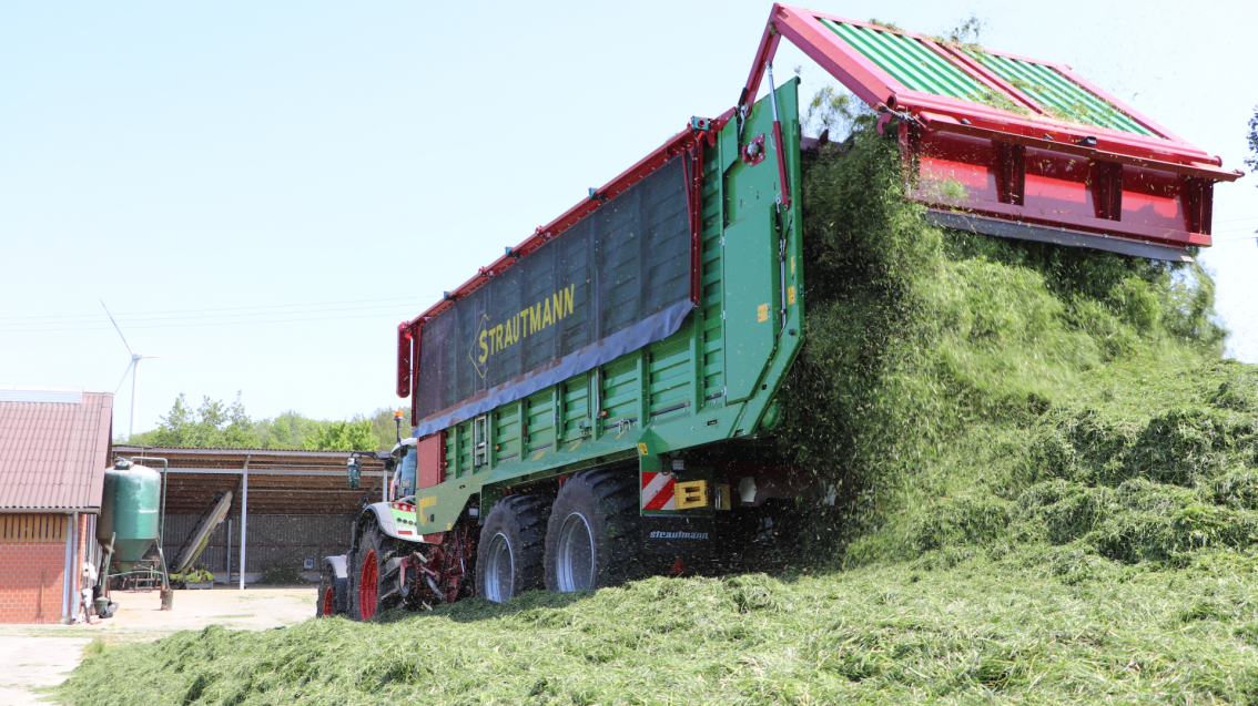 Strautmann Magnon 10